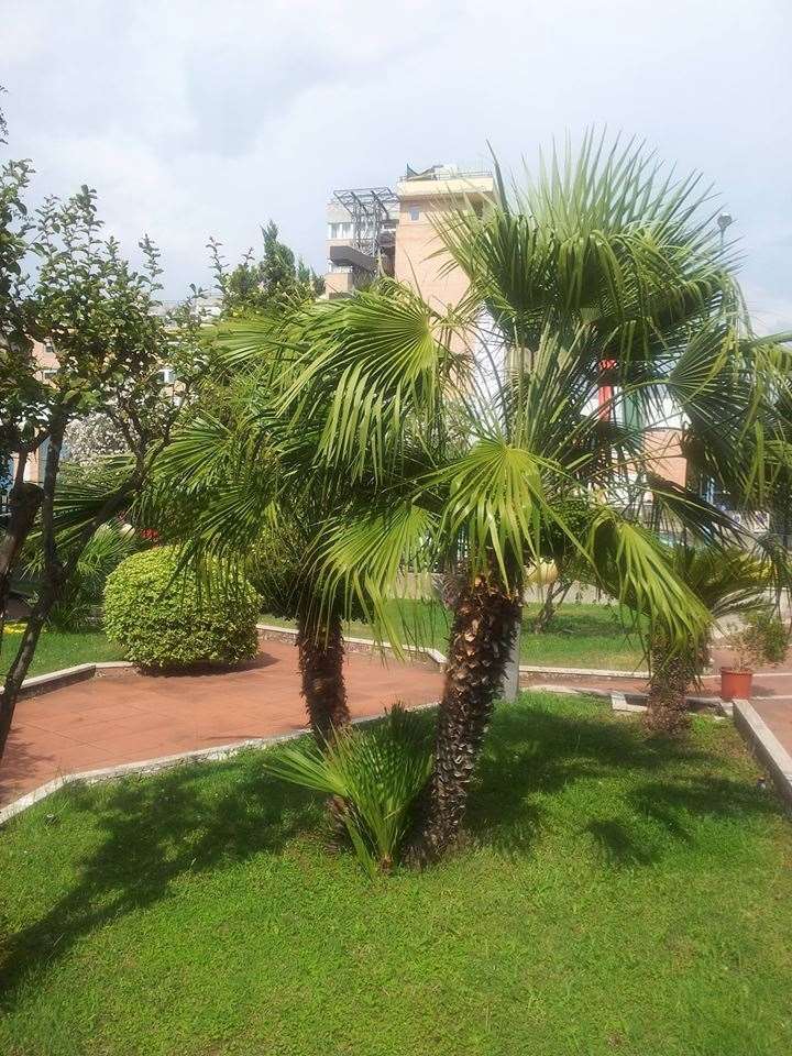 Hotel De La Ville Central Λατίνα Ανέσεις φωτογραφία